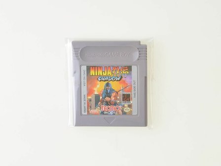 Ninja Gaiden Shadow