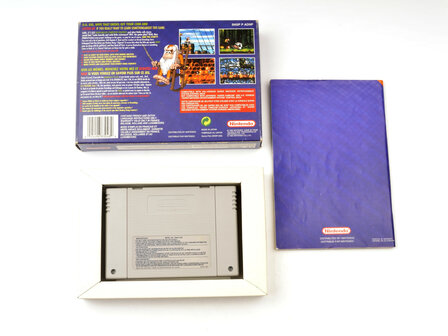 Donkey Kong Country 2