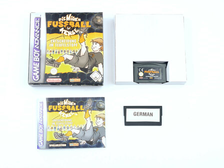 Die wilden Fussball Kerle (German)