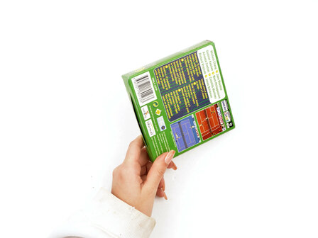 All Star Tennis 2000