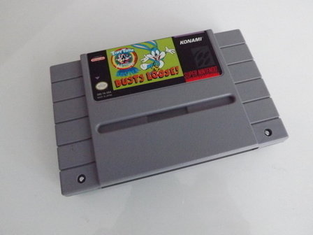 Tiny Toon Adventures: Buster Busts Loose [NTSC]