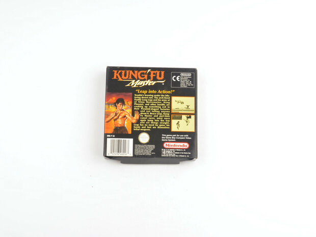 Kung Fu Master
