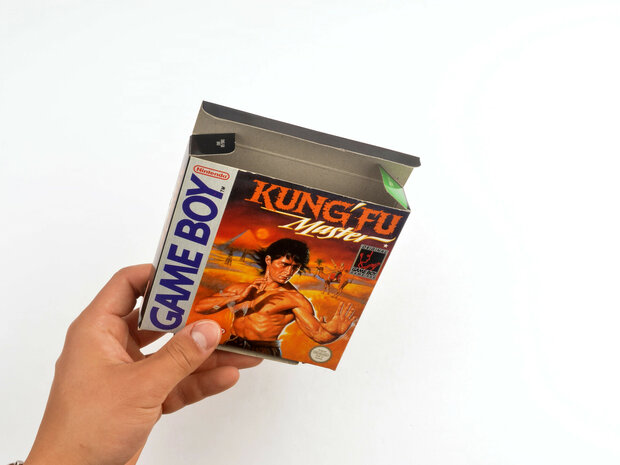 Kung Fu Master