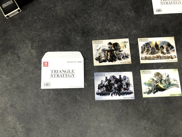 Triangle Strategy Tactician's Limited Edition