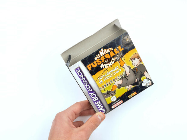 Die wilden Fussball Kerle (German)