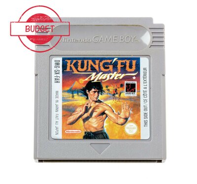 Kung Fu Master - Budget