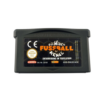 Die wilden Fussball Kerle
