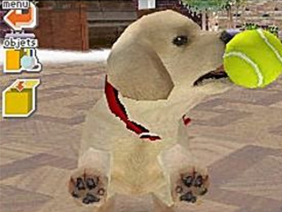 Nintendo DS Screenshot Nintendogs